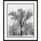 Oak Tree Snowstorm Yosemite National Park 1948 by Ansel Adams Wood Framed Wall Art Print 27 in. W x 32 in. H